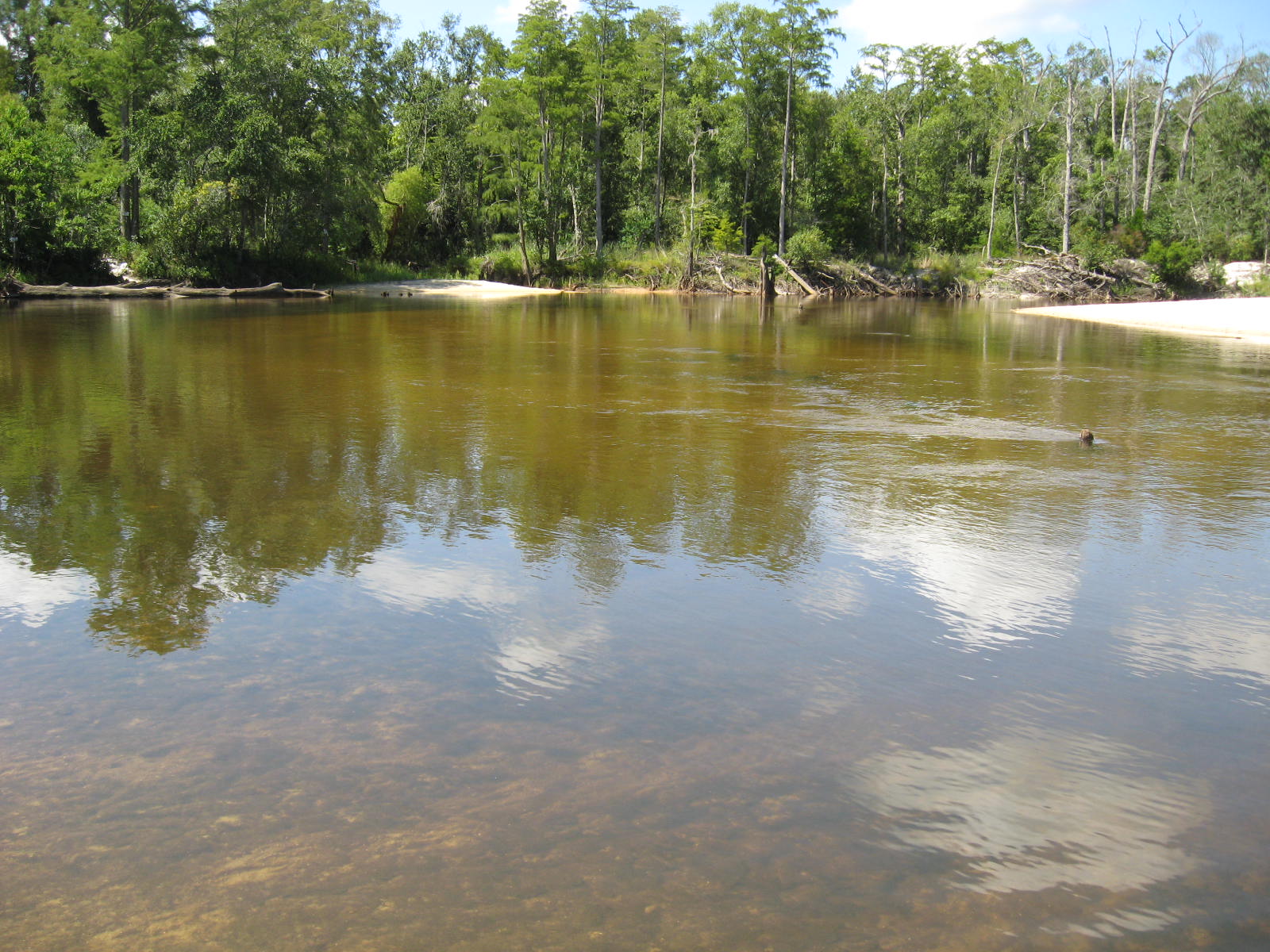 Comparison of Perdido River and Eleven mile Creek